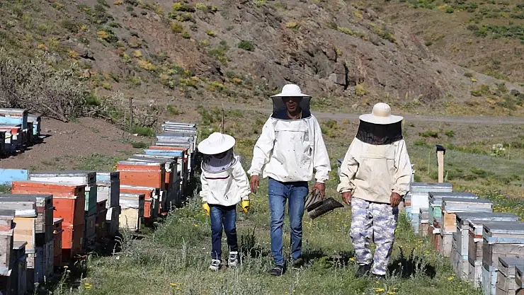 Ağrılı arıcı, oğlunun icadı elektrikli araçla dağda bal mesaisinde