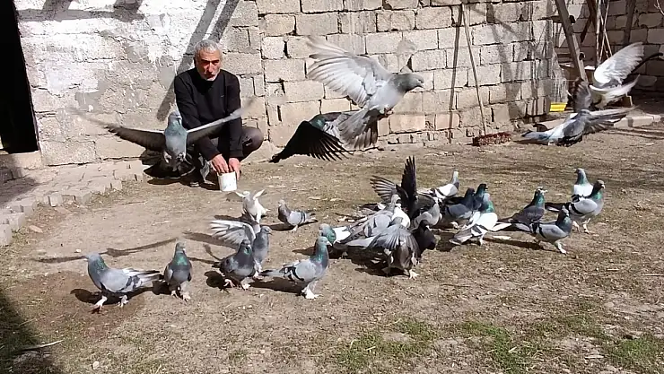 Ağrılı Halil Kılıç'tan 45 yıllık kuş sevdası