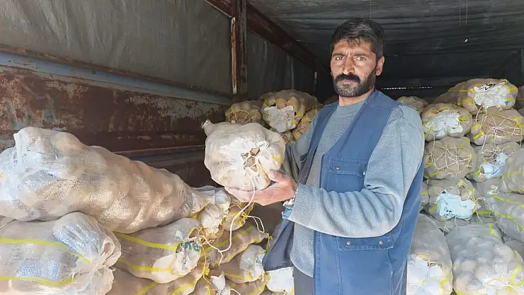 Ağrılıların kış hazırlığı: Ahlat patatesi tezgâhlarda