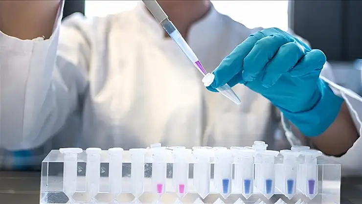 AIDS ile mücadelede yeni umut: DSÖ 1,3 milyon vaka bildirdi