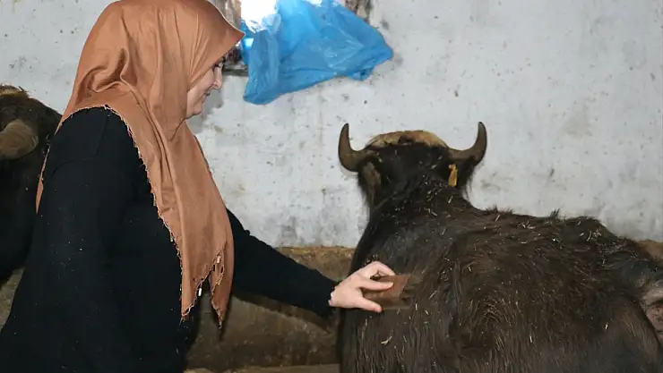 Aksaraylı gelinin azmi Ağrı'da örnek oldu