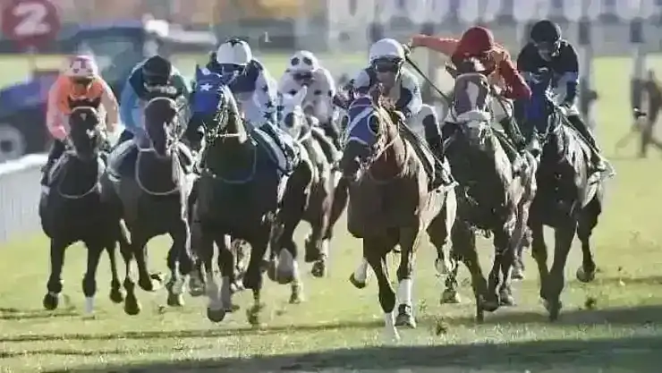 Ankara 8 Kasım 2025 Cumartesi At Yarışı Sonuçları!