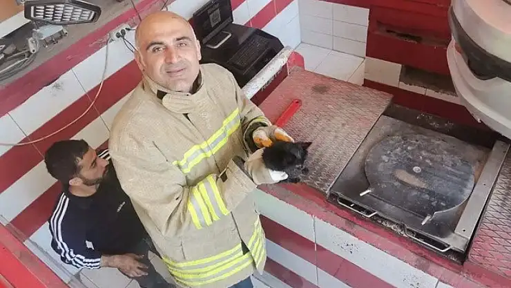 Aracın Motorunda Sıkışan Yavru Kediye Kurtarma Operasyonu