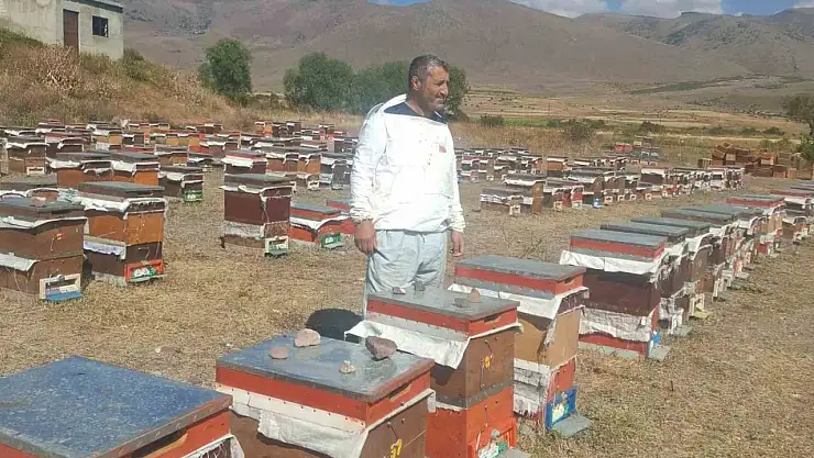 Arıcılardan ayı saldırılarına karşı acil çözüm çağrısı! Ekonomi ve geçim tehlikede