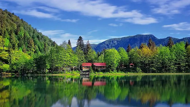 Artvin'de ailecek nereye gidilir? Artvin'de aileyle gezilecek yerler nerede?