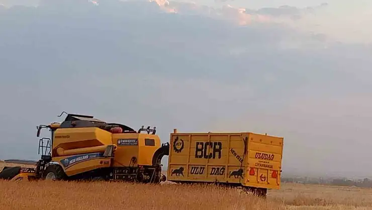 Aşırı sıcaklıklar Patnoslu çiftçilerin yüzünü güldürmedi