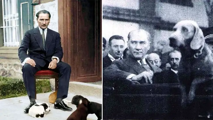 Atatürk'ün Beslediği İlk Evcil Hayvanın İsmi Nedir?
