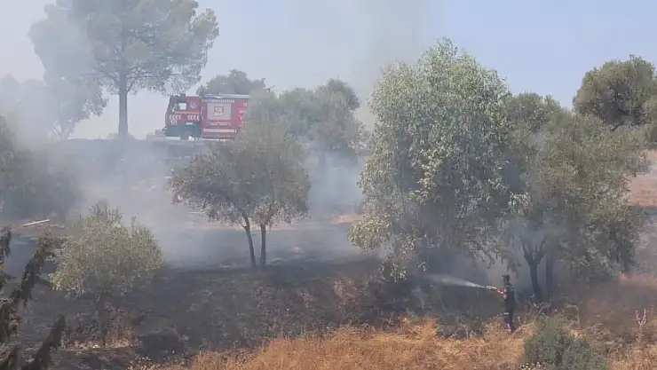 Aydın'da skandal: Ateş ettiler, alevler mezarlığa dayandı!