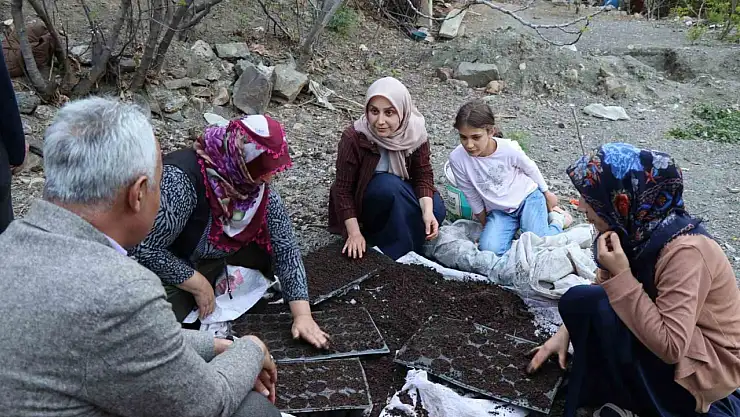 Ayvalı Mahallesi'nde Yerel Üretim: Sebze Fideleriyle Dışa Bağımlılık Azalıyor