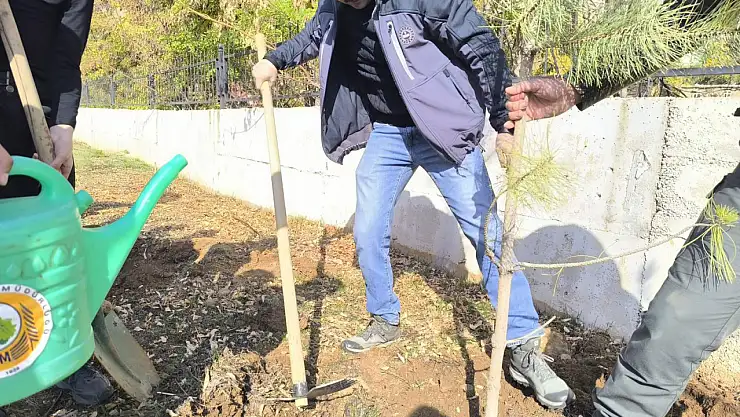 Bahçesaray'da 11 Kasım Milli Ağaçlandırma Günü'nde Fidanlar Toprakla Buluştu
