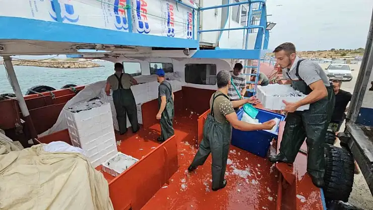 Balık Sezonu Açıldı, Ancak Balıkçılar Fiyatlardan Şikayetçi