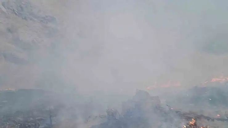 Başkale'de Anız Yangını İtfaiye Ekiplerince Kısa Sürede Söndürüldü