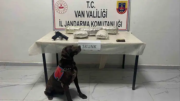 Başkale'de Jandarma 4 Kilo Skunk ve Kaçak Malzeme Ele Geçirdi
