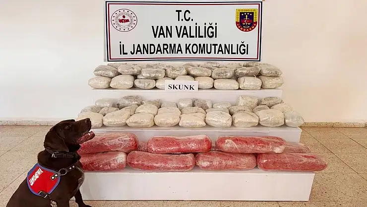 Başkale'de Jandarma Operasyonu: 61,9 Kilogram Skunk Ele Geçirildi