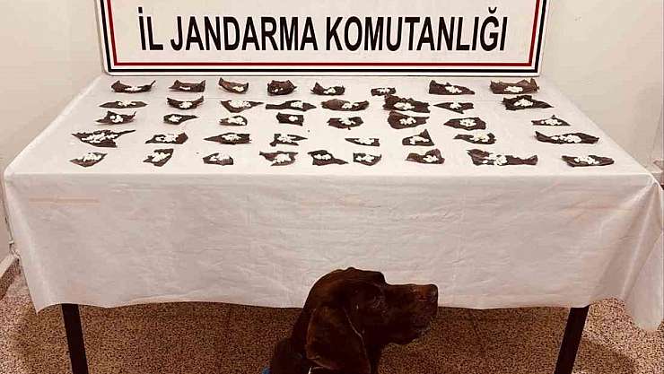 Başkale'de jandarmadan uyuşturucu baskını: 460 kapsül ve 171 gram bonzai ele geçirildi