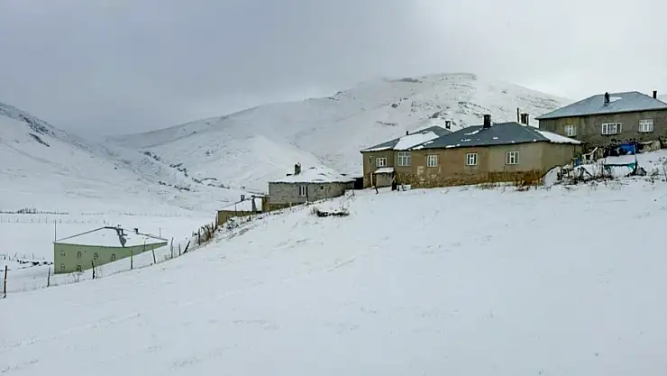 Başkale'de Kar Yağışı Yüksek Kesimleri Beyaza Bürüdü, Sürücüler Zor Anlar Yaşadı