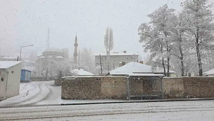 Başkale'de Nisan karı şaşkınlık yarattı