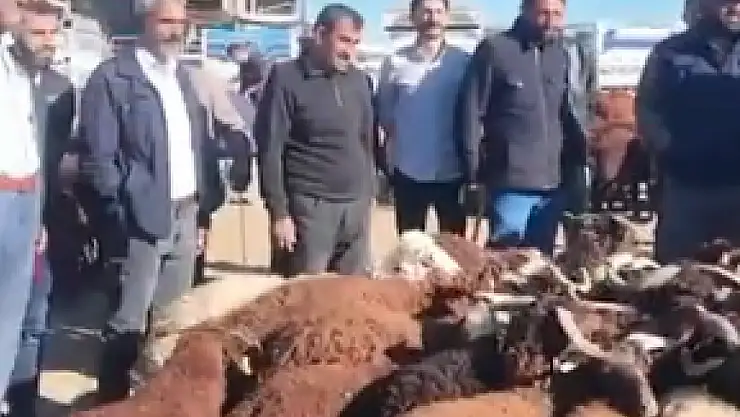 Başkan Taşkın, Patnos canlı hayvan borsasını ziyaret etti