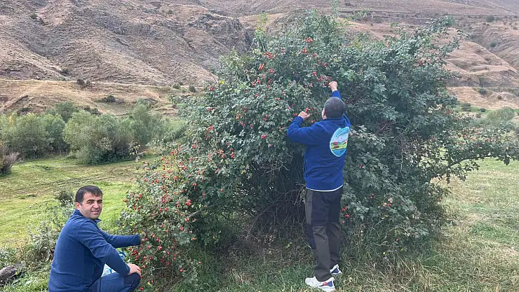 Bazid dağcıları Iğdır'ın doğal güzelliklerini keşfetti