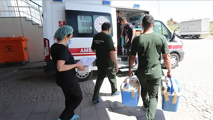 Beyin ölümü gerçekleşen Karslı Mecit Uğraş'ın organları, vasiyeti üzerine bağışlandı.