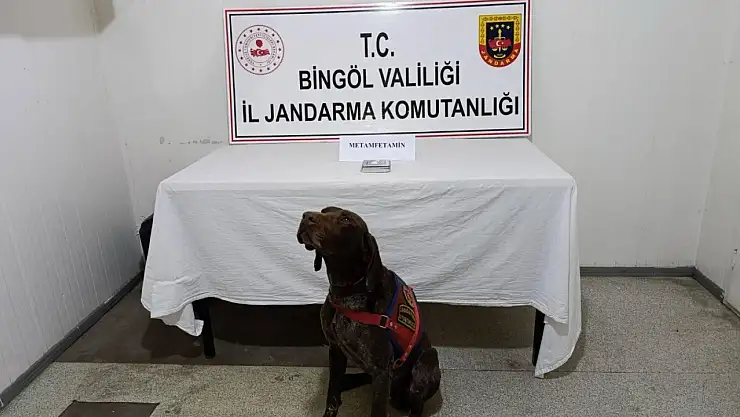 Bingöl'de uyuşturucuyla mücadele: 2 gözaltı
