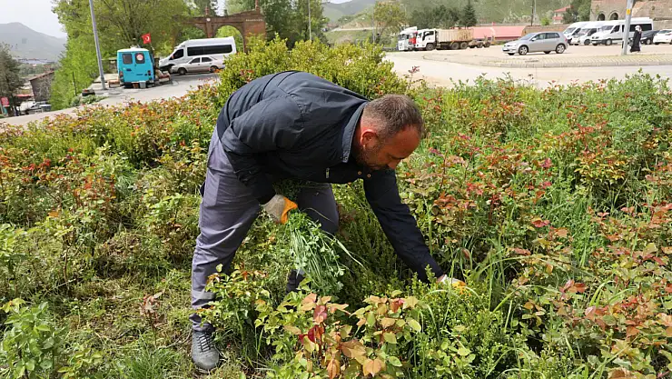 Bitlis Belediyesi'nden Yaz Hazırlığı Parklar Yenileniyor