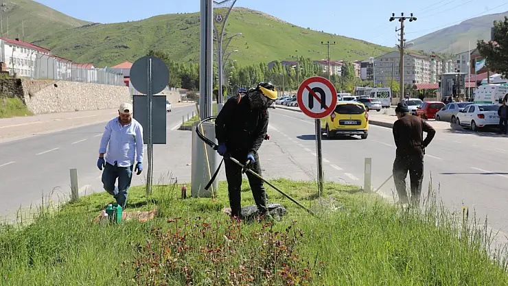 Bitlis Belediyesi'nden Yaz Hazırlığı: Yeşil Alanlarda Yoğun Temizlik ve Bakım Çalışması