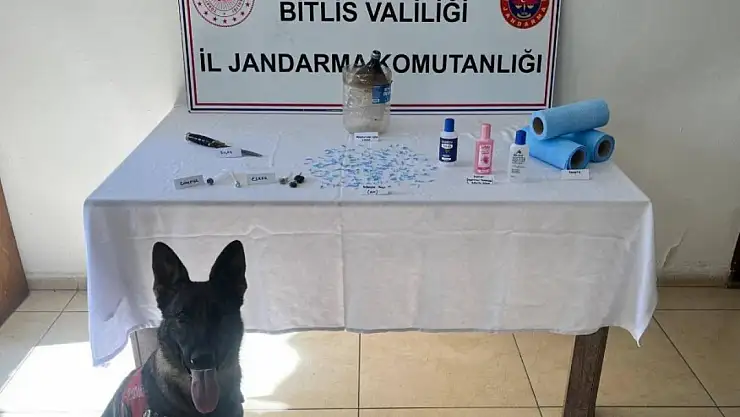 Bitlis kırsalında gerçekleştirilen operasyonda jandarma ekipleri uyuşturucu tacirlerine darbe vurdu