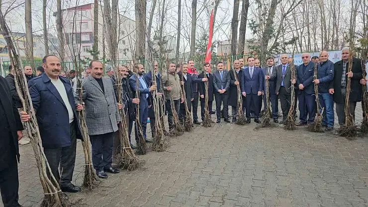 Bitlis'te 12 bin aşılı ceviz fidanı çiftçilere dağıtıldı, üretim gücü artırılacak