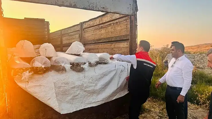 Bitlis'te 3.9 milyon sazan yavrusu göllere bırakıldı! Su kaynakları zenginleşiyor