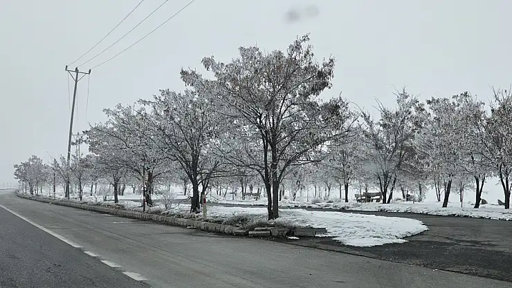 Bitlis'te ağaçlar kırağıyla kaplandı