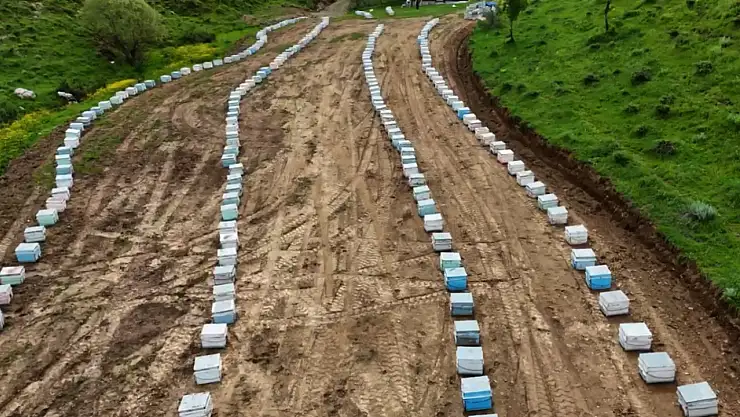 Bitlis'te arıcılar yeni sezon için hazırlıklarını tamamladı, özgür arılar yaylalarda bal üretmeye başladı!