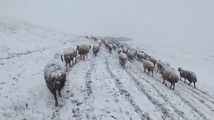 Bitlis'te bahar beklenirken kış geldi köylüler hazırlıksız yakalandı