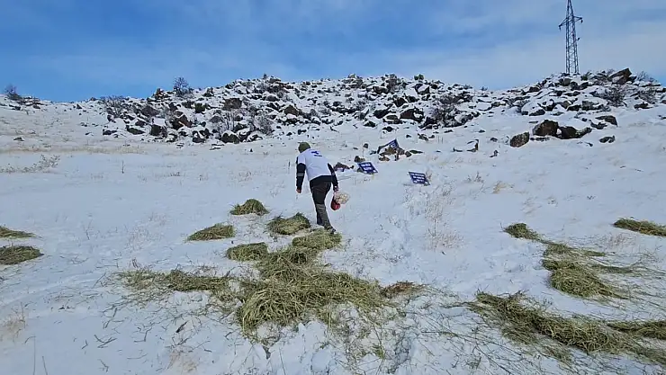 Bitlis'te doğa dostlarından yaban hayatına destek