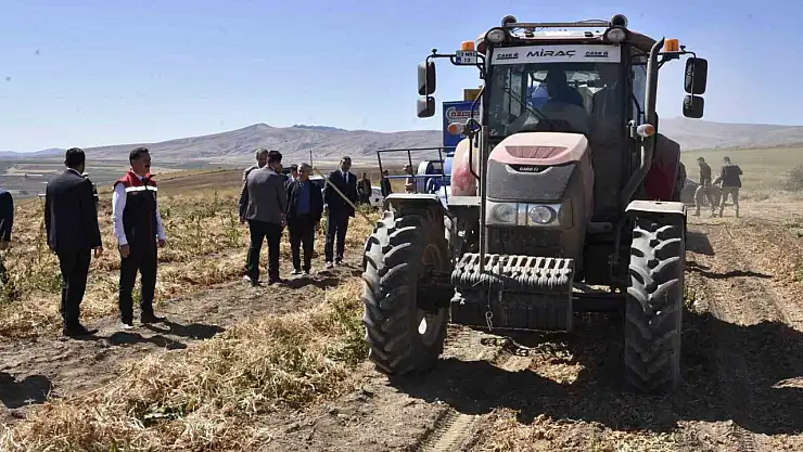 Bitlis'te Kuru Fasulye Hasadı: Türkiye'nin Tohumluk Üretiminin Yüzde 46'sı Buradan Karşılanıyor