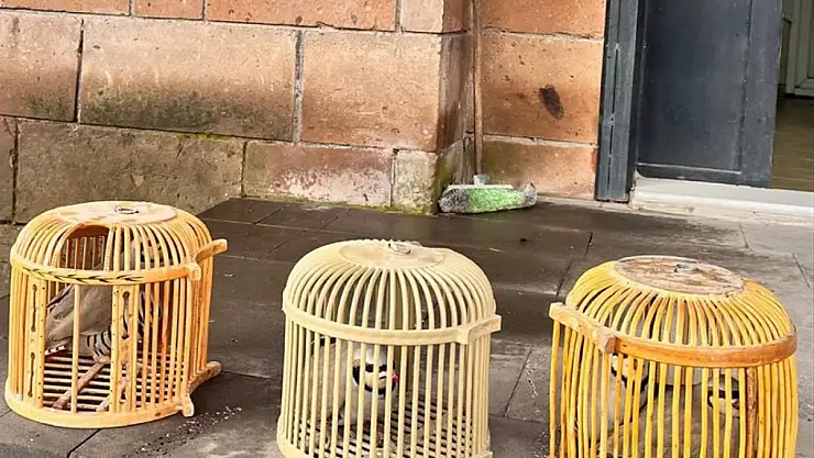 Bitlis'te yasa dışı keklik avlayan kişiye ceza yağdı
