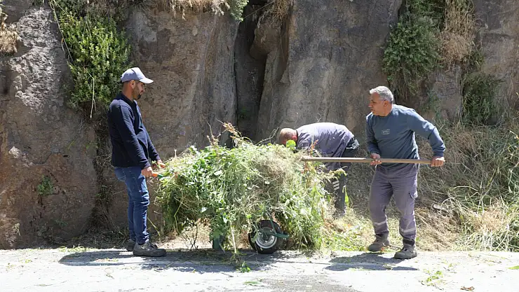 Bitlis'te Yaz Temizlik Seferberliği: Parklar ve Bahçeler Yenileniyor