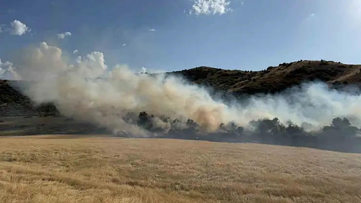 Bitlis'teki Buğday Tarlasında Yangın Tehlikesi Büyümeden Kontrol Altına Alındı