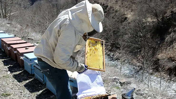 Bitlisli arıcılar yayla sezonu için hazırlıkta