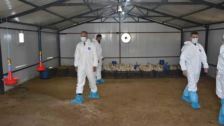 Bulanık'ta Kaz Yetiştiriciliği Projesinin Kapanış Töreni Gerçekleştirildi