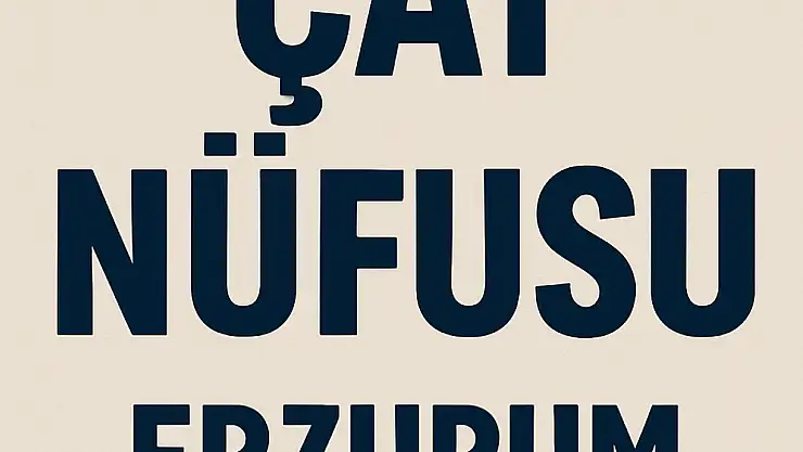 Çat Nüfusu – Erzurum Sessiz Gücü: Demografik Yapı ve Sosyal Dinamikler