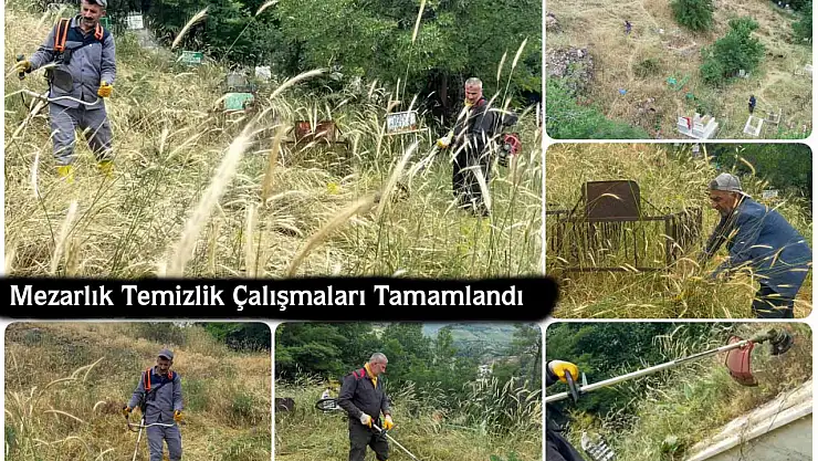 Çatak Belediyesi mezarlıkta kapsamlı temizlik çalışmasıyla manevi alanı düzenli ve temiz tutuyor