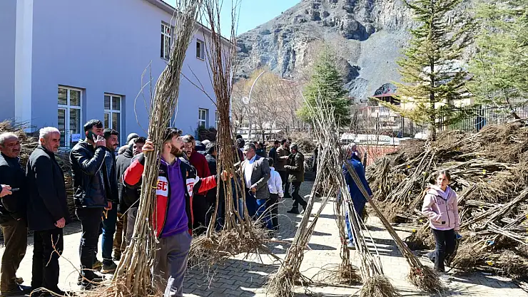 Çatak'ta çiftçilere 36 bin fidan dağıtıldı