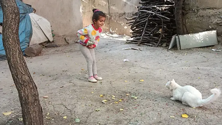 Çatak'ta Öğrenciler Sokak Hayvanları için Mama Dağıttı ve Farkındalık Yaratıldı