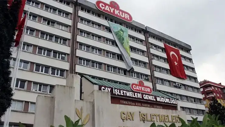 ÇAYKUR, 2025 için 1.500 mevsimlik işçi alımı yapacak! Başvuru tarihleri ve pozisyonlar merak ediliyor