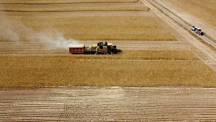 Çiftçilere büyük destek: 47,6 milyon lira bugün hesaplarda