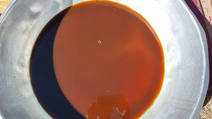 Dağ köylerinde kadınlar, dut pekmezi ile geleneksel mirası yaşatıyor ve ekonomiye katkı sağlıyor