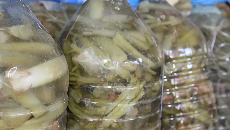 Dağlardan tezgâhlara: Ağrı'da heliz sezonu başladı