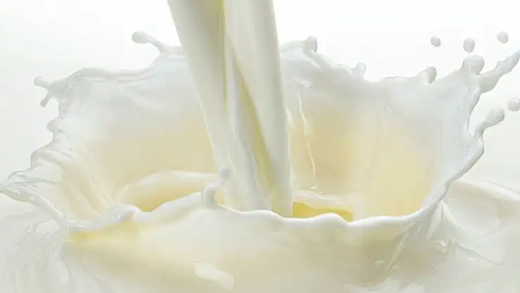 Danone'nin ürettiği sütte su tespit edildi