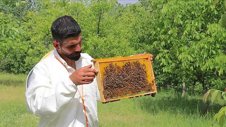 Devlet Desteğiyle Arıcılığa Yönelen Hemofili Hastası Girişimci, Siparişleri Tükenme Noktasına Geldi!